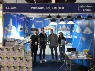 Vikstars Co., Limited สายการผลิตของผู้ผลิต