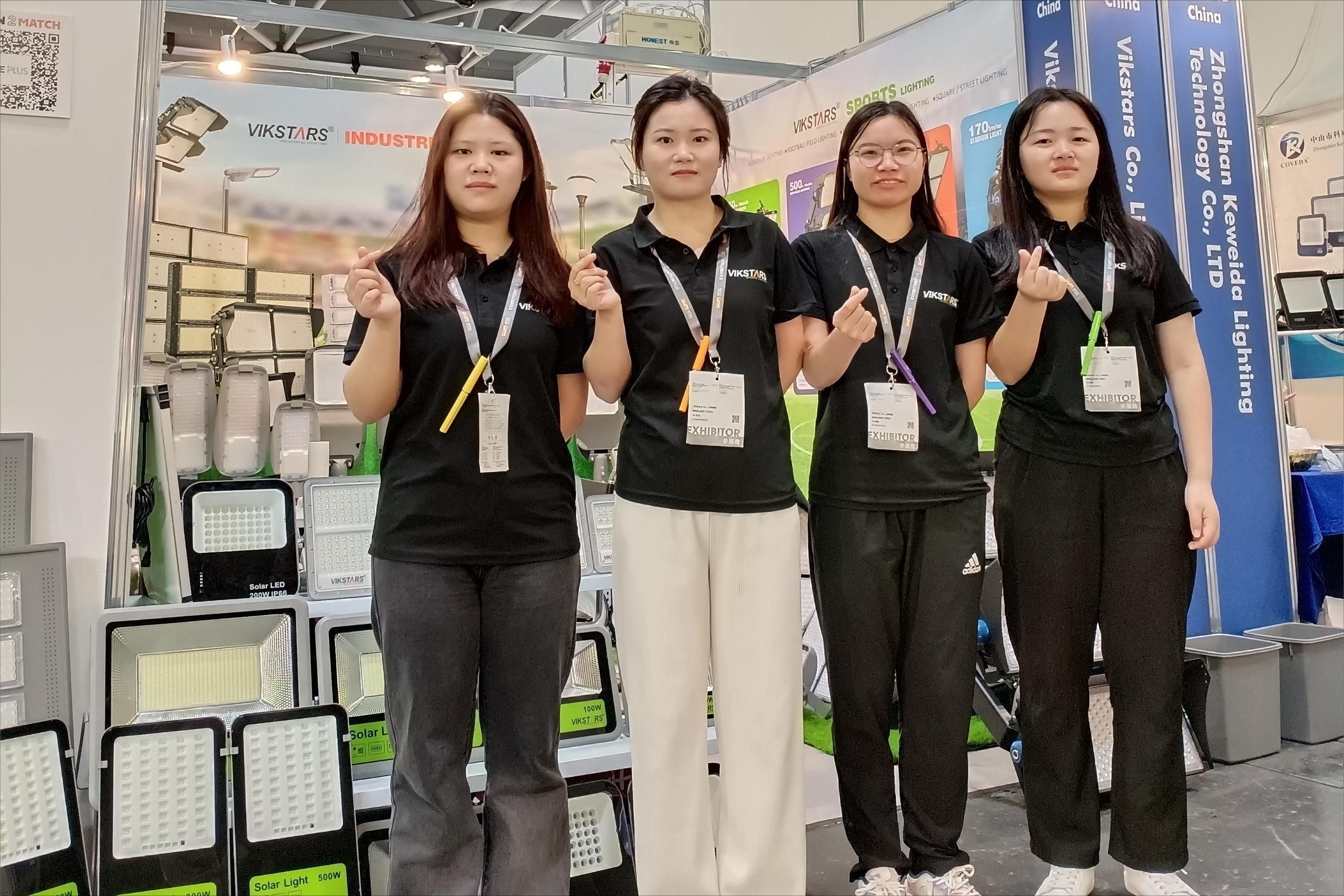 จีน Vikstars Co., Limited โปรไฟล์บริษัท